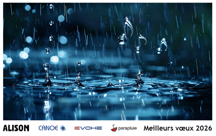 Meilleurs voeux 2026