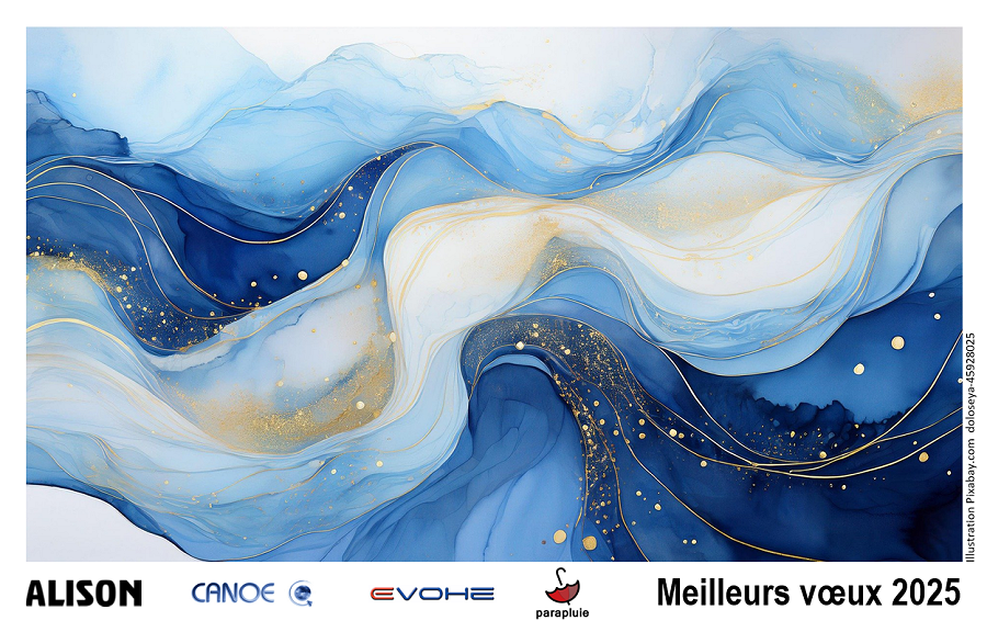 Meilleurs voeux 2025